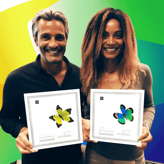 Curso de Edição de vídeo no PowerPoint! Curso para remover ruídos do áudio. - IBRATH Instituto Brasileiro de Terapias Holísticas teste031020231005