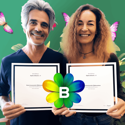 Curso de Estratégia de marketing: Alcançar os objetivos da empresa - IBRATH Instituto Brasileiro de Terapias Holísticas teste031020231005