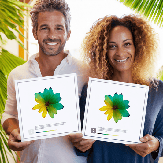 Curso de Canvas do Modelo de Negócios - IBRATH Instituto Brasileiro de Terapias Holísticas teste031020231005