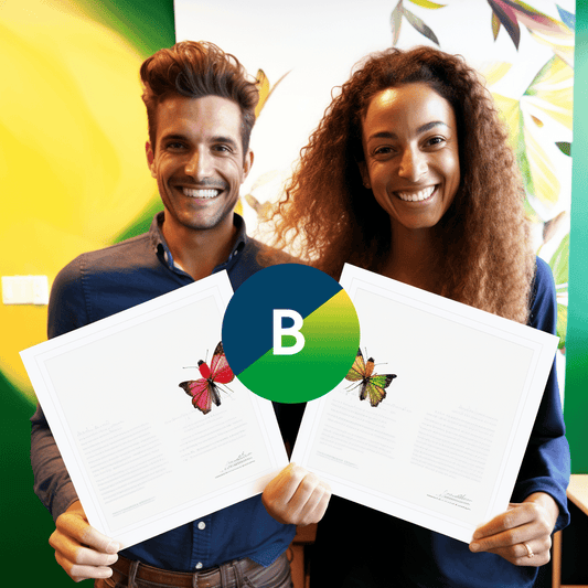 Curso de Sua loja online ou site corporativo em 20 minutos! - IBRATH Instituto Brasileiro de Terapias Holísticas teste031020231005