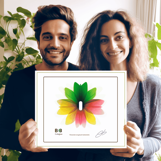 Curso de Crie um negócio de comércio eletrônico usando o ChatGPT e o WordPress - IBRATH Instituto Brasileiro de Terapias Holísticas teste031020231005