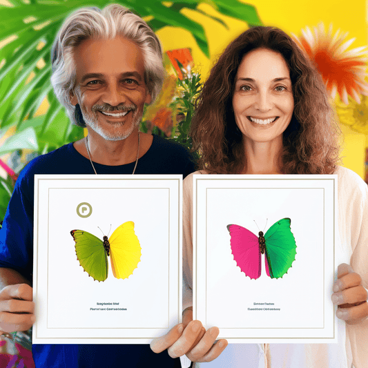 Curso de Know-how prático para iniciar um negócio sem capital para a geração de 4050 - IBRATH Instituto Brasileiro de Terapias Holísticas teste031020231005