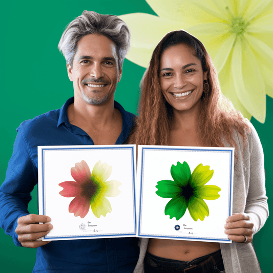 Curso de Início da gestão de compras - IBRATH Instituto Brasileiro de Terapias Holísticas teste031020231005