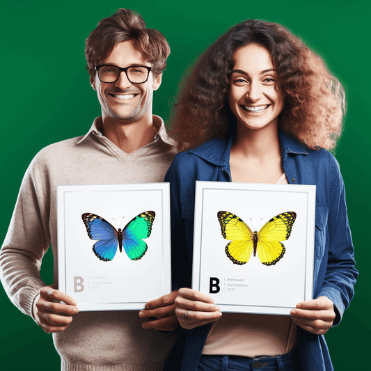 Curso de Domínio da Narrativa Científica: Um Guia para Iniciantes - IBRATH Instituto Brasileiro de Terapias Holísticas teste031020231005