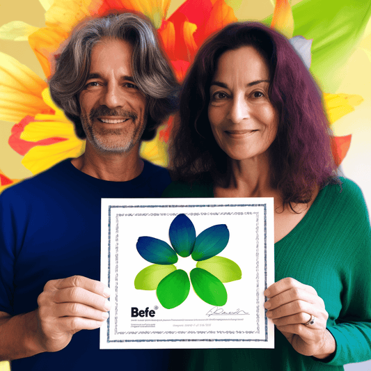 Curso de Escrita de Negócios - Obtenha Resultados - Sem Estresse - IBRATH Instituto Brasileiro de Terapias Holísticas teste031020231005