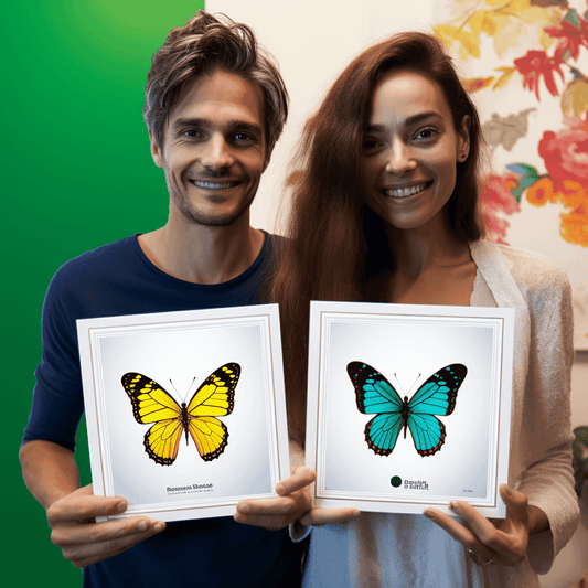 Curso de Introdução às Comunicações em Massa. - IBRATH Instituto Brasileiro de Terapias Holísticas teste031020231005