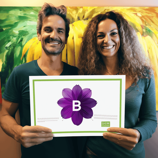 Curso de Mediação explicada por Shane Irvine, J.D. - IBRATH Instituto Brasileiro de Terapias Holísticas teste031020231005