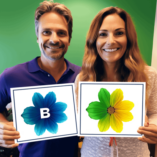 Curso de Comunicação Eficaz e Assertiva - IBRATH Instituto Brasileiro de Terapias Holísticas teste031020231005