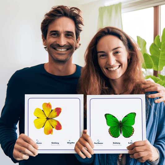 Curso de Espírito de resposta: As 30 melhores técnicas de espírito de resposta! - IBRATH Instituto Brasileiro de Terapias Holísticas teste031020231005