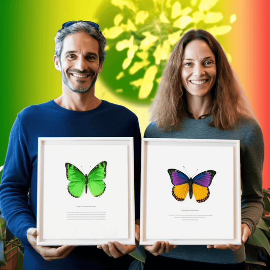 Curso de Guia Completo para Trabalhar como Freelancer de Casa (ou Nômade!) - IBRATH Instituto Brasileiro de Terapias Holísticas teste031020231005