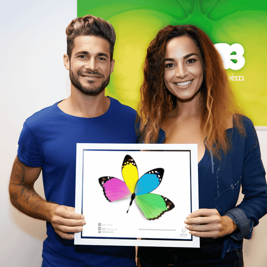 Curso de Gestão BIM - OIR, AIR, como criar EIR e Introdução ao BEP - IBRATH Instituto Brasileiro de Terapias Holísticas teste031020231007