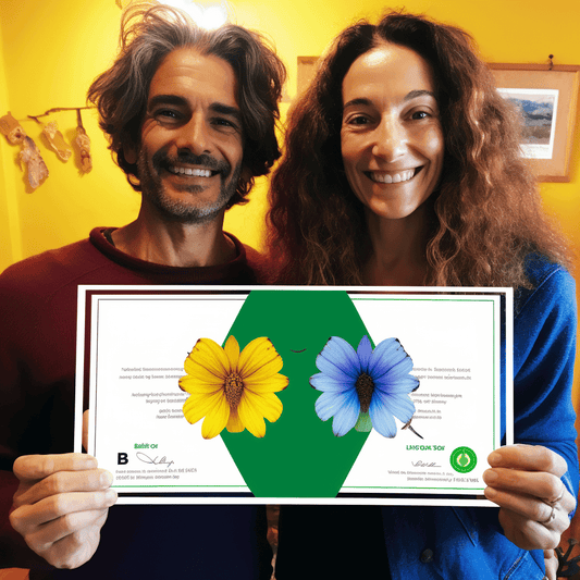 Curso de Construção Enxuta e Sistema do Último Planejador - IBRATH Instituto Brasileiro de Terapias Holísticas teste031020231007