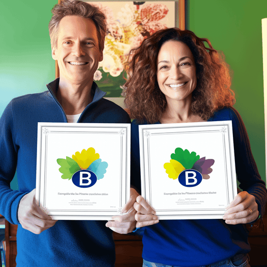 Curso de Torne-se um consultor altamente remunerado: Consultoria Freelancer 2023 - IBRATH Instituto Brasileiro de Terapias Holísticas teste031020231005