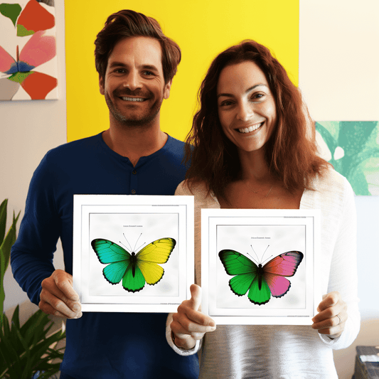 Curso de O Pacote Definitivo de Domínio do Upwork - IBRATH Instituto Brasileiro de Terapias Holísticas teste031020231005