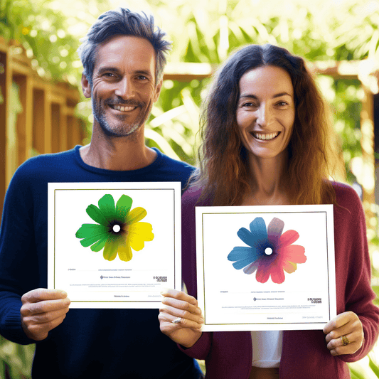 Curso de Startup de Tecnologia - Ideia de Aplicativo para Lucro - IBRATH Instituto Brasileiro de Terapias Holísticas teste031020231005