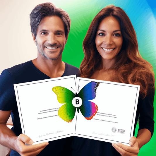 Curso de Tudo sobre como fazer negócios de sucesso no Japão - IBRATH Instituto Brasileiro de Terapias Holísticas teste031020231005