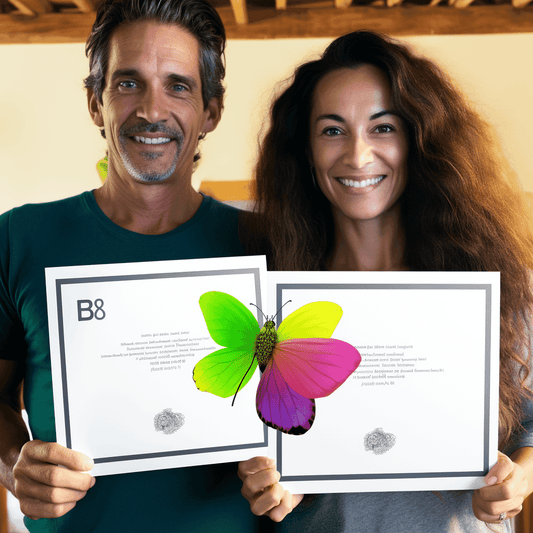 Curso de Introdução ao cinema: Apresentar, financiar e iniciar um projeto de vídeo - IBRATH Instituto Brasileiro de Terapias Holísticas teste031020231005