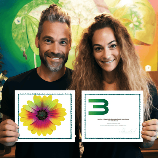 Curso de Iniciando o SEO como seu negócio baseado em casa - IBRATH Instituto Brasileiro de Terapias Holísticas teste031020231005