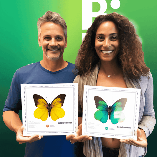 Curso de Dicas para a Preparação de Projetos Tübitak Teydeb - IBRATH Instituto Brasileiro de Terapias Holísticas teste031020231007