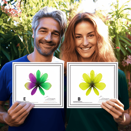 Curso de Gerenciamento de Franquias - Uma Introdução - IBRATH Instituto Brasileiro de Terapias Holísticas teste031020231005