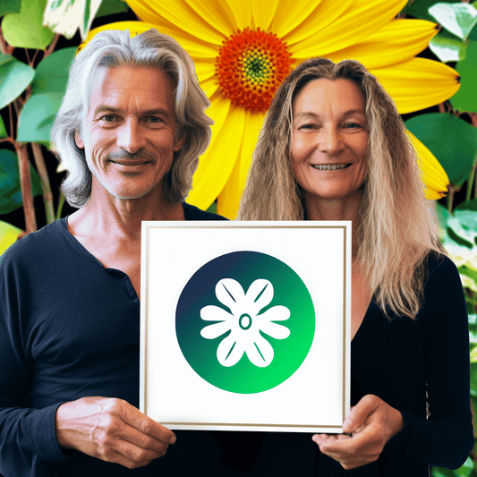 Curso de Apostas Esportivas 101 - IBRATH Instituto Brasileiro de Terapias Holísticas teste031020231005