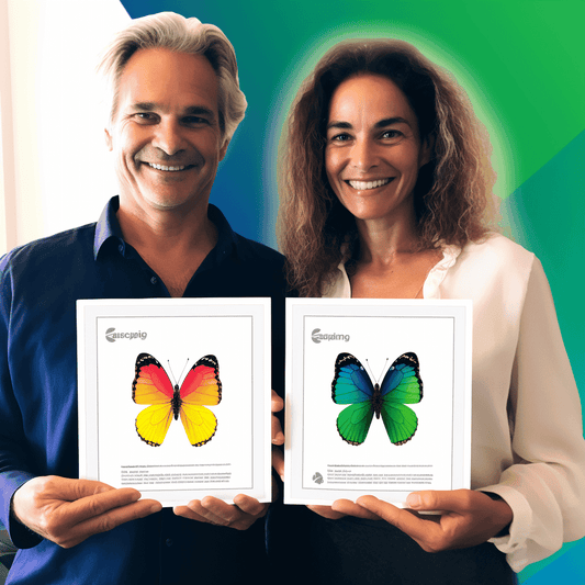 Curso de Fundamentos da Comunicação: Convencer como iniciante - IBRATH Instituto Brasileiro de Terapias Holísticas teste031020231005