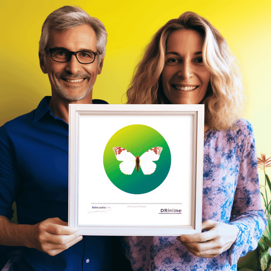 Curso de Diploma em Gestão de Negócios - IBRATH Instituto Brasileiro de Terapias Holísticas teste031020231005