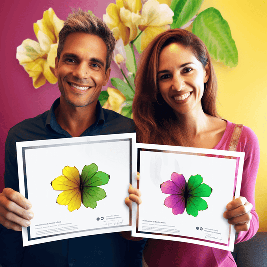 Curso de ESCRITA CRIATIVA - IBRATH Instituto Brasileiro de Terapias Holísticas teste031020231005, teste071020231020