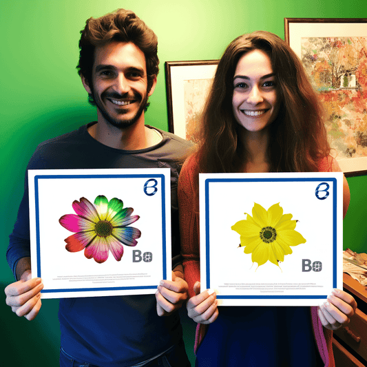 Curso de Negócios online: Como ganhar dinheiro e evitar erros - IBRATH Instituto Brasileiro de Terapias Holísticas teste031020231005