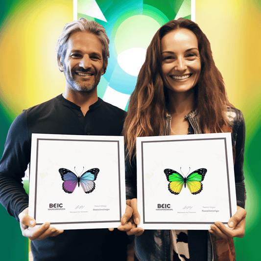 Curso de Liderança: O Líder Emocionalmente Inteligente - IBRATH Instituto Brasileiro de Terapias Holísticas teste031020231005