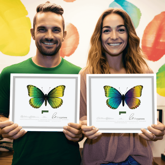 Curso de Essenciais do Negócio de Software como Serviço (SaaS) - IBRATH Instituto Brasileiro de Terapias Holísticas teste031020231005