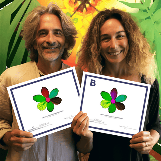 Curso de O Guia Completo para Parcerias B2B Masterclass - IBRATH Instituto Brasileiro de Terapias Holísticas teste031020231007