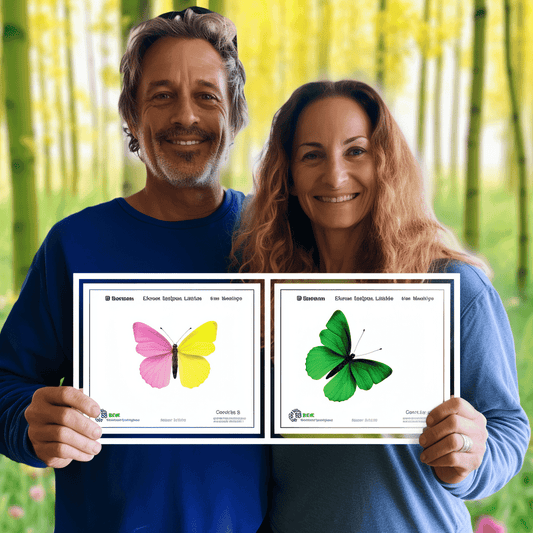 Curso de Gerenciamento de Mudanças: Projetando Mudanças Organizacionais de Sucesso - IBRATH Instituto Brasileiro de Terapias Holísticas teste031020231005