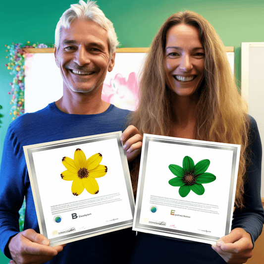 Curso de Gerenciamento de Licitações e Propostas (Parte 1) - IBRATH Instituto Brasileiro de Terapias Holísticas teste031020231005