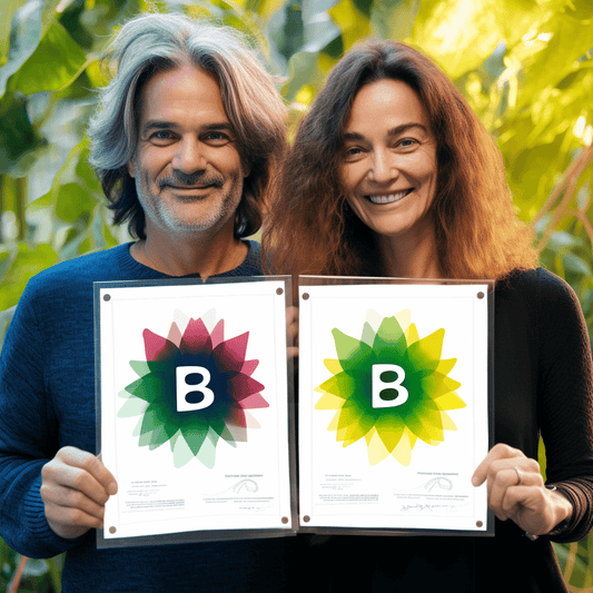 Curso de Compreendendo a Liderança - IBRATH Instituto Brasileiro de Terapias Holísticas teste031020231005