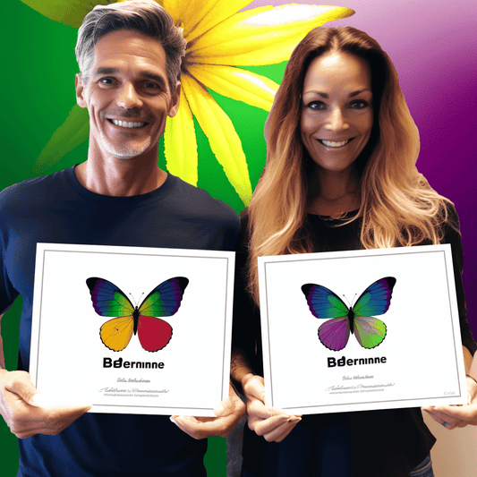 Curso de Os Fundamentos Básicos do Gerenciamento de Palco como uma carreira - IBRATH Instituto Brasileiro de Terapias Holísticas teste031020231005