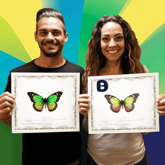 Curso de Fundamentos de Liderança de Equipe para Novos e Desenvolvendo Líderes de Equipe - IBRATH Instituto Brasileiro de Terapias Holísticas teste031020231005