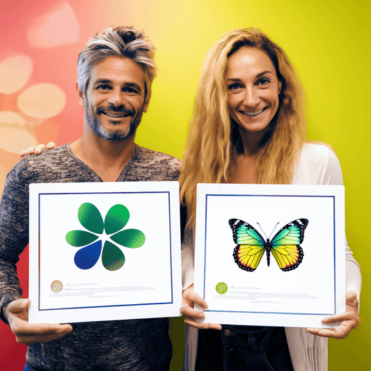 Curso de Entrando nos Negócios: Gestão Empresarial Desde o Primeiro Passo - IBRATH Instituto Brasileiro de Terapias Holísticas teste031020231005