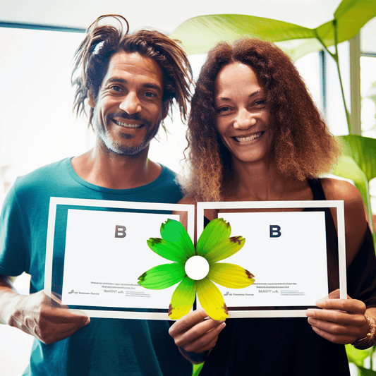 Curso de Domínio da Escrita de Requisitos (com ou sem Escritores de IA) - IBRATH Instituto Brasileiro de Terapias Holísticas teste031020231005