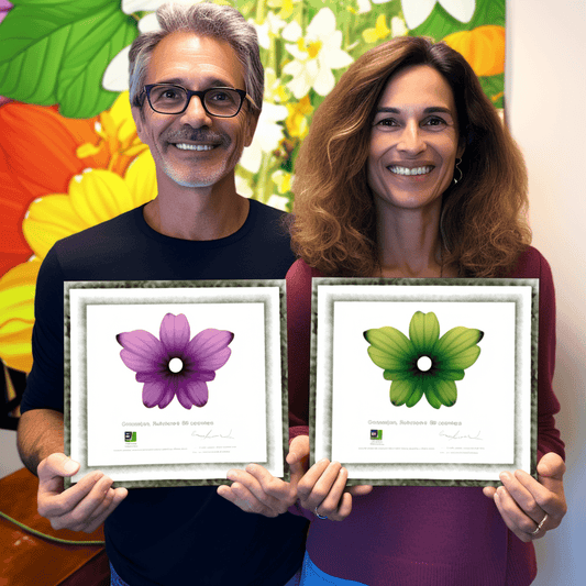 Curso de Seu caminho para aconselhamento em vídeo como coach, consultor e terapeuta - IBRATH Instituto Brasileiro de Terapias Holísticas teste031020231005