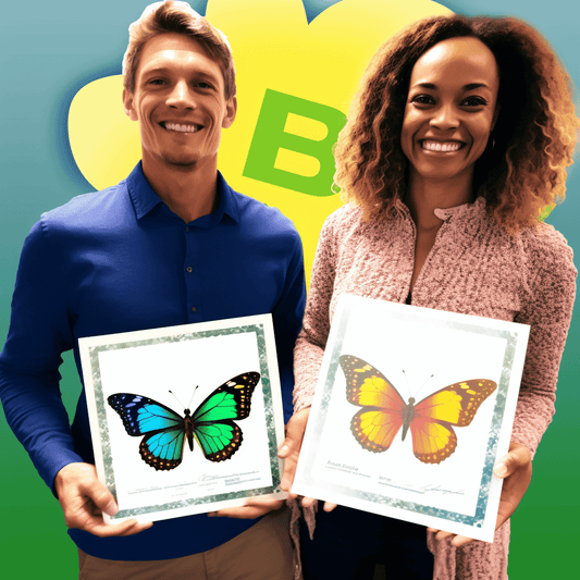 Curso de Elaborando uma Teoria da Mudança e um Modelo Lógico - IBRATH Instituto Brasileiro de Terapias Holísticas teste031020231005