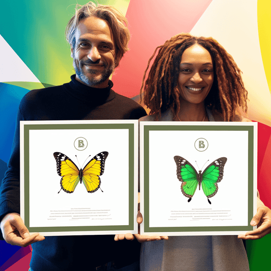 Curso de CIPS L5M15 Negociação Avançada - IBRATH Instituto Brasileiro de Terapias Holísticas teste031020231005