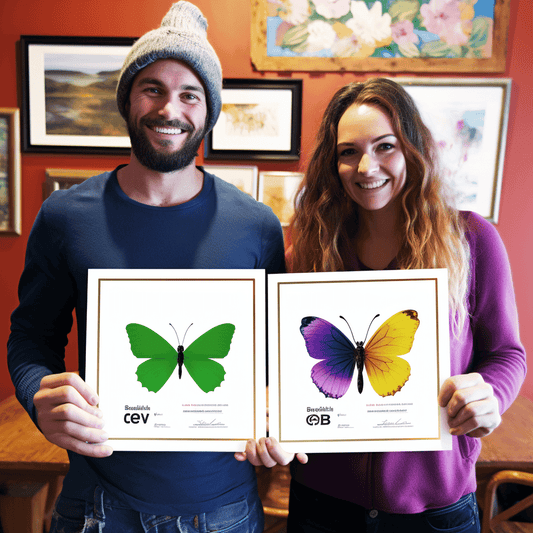 Curso de Gerenciamento de Oficinas de Reparação Automotiva - IBRATH Instituto Brasileiro de Terapias Holísticas teste031020231005