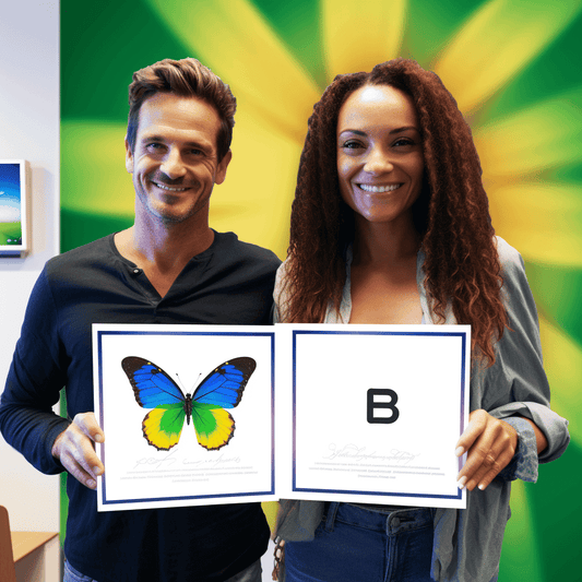 Curso de Segredos Ocultos da Venda - Parte 1 - IBRATH Instituto Brasileiro de Terapias Holísticas teste031020231005