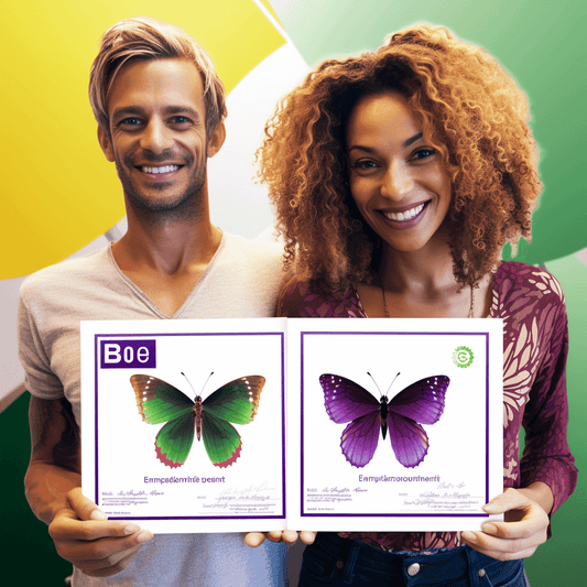 Curso de Pós-Venda Lucrativo Conquistando Clientes no Mercado Livre - IBRATH Instituto Brasileiro de Terapias Holísticas teste031020231007