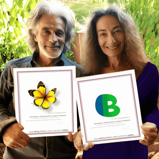 Curso de Fundamentos de Consultoria para Consultores de Entrega de Projetos - IBRATH Instituto Brasileiro de Terapias Holísticas teste031020231007