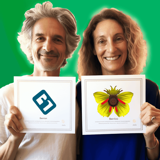 Curso de Venda de Conteúdo Desenvolvido para Online - IBRATH Instituto Brasileiro de Terapias Holísticas teste031020231005