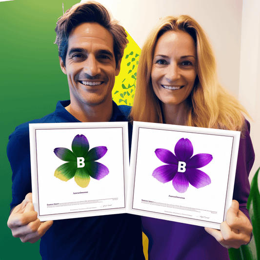 Curso de Habilidades de persuasão - IBRATH Instituto Brasileiro de Terapias Holísticas teste031020231005