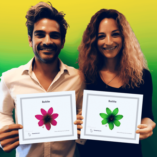 Curso de Como construir um site com WordPress - Um curso para iniciantes - IBRATH Instituto Brasileiro de Terapias Holísticas teste031020231005