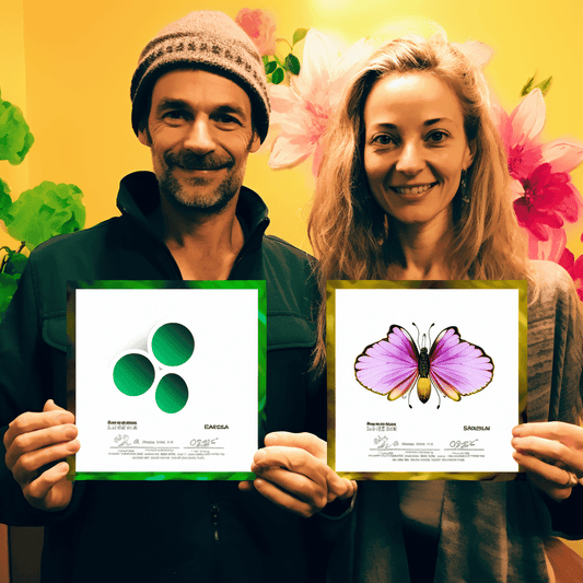 Curso de Escrevendo sua história de vida. Transformando memórias em memórias. - IBRATH Instituto Brasileiro de Terapias Holísticas teste031020231005